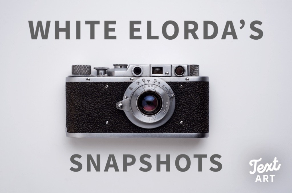 W. Elorda’s Snapshots: A Pic-a-Day at Disney&nbsp;World