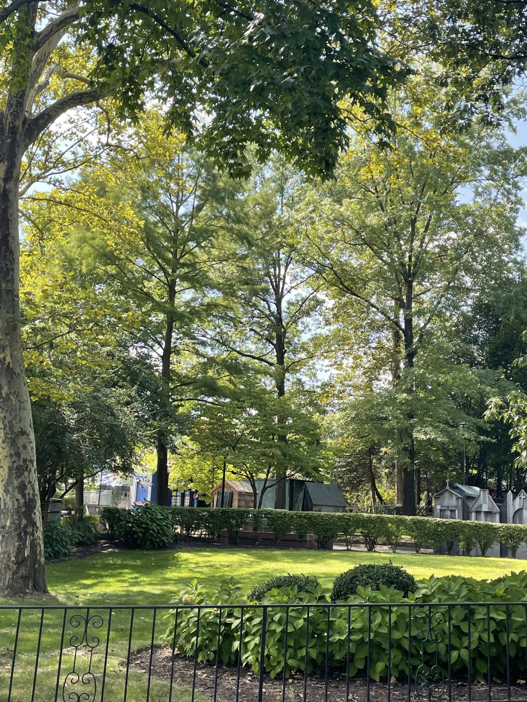 Aesthetic Photography Weekly: Entry&nbsp;#22.