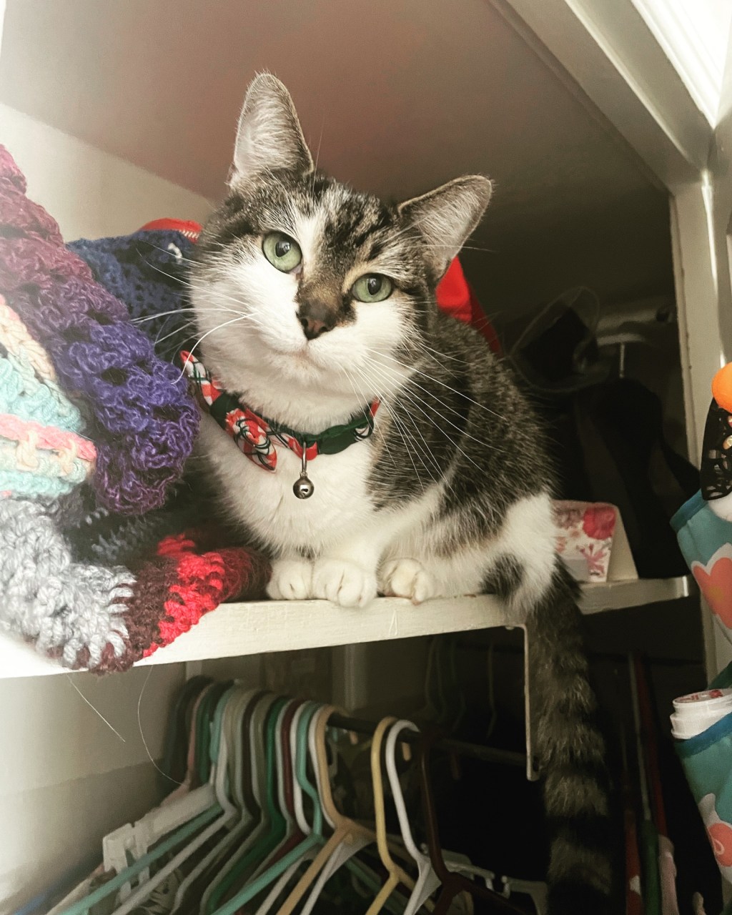 Aesthetic Photography Weekly: Entry&nbsp;#32