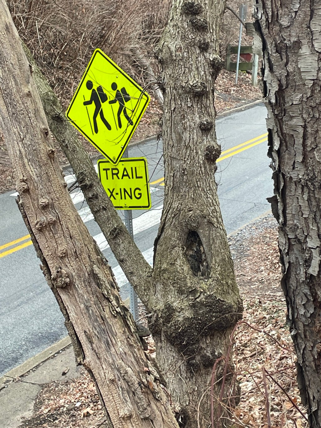 Aesthetic Photography Weekly: Entry&nbsp;#40