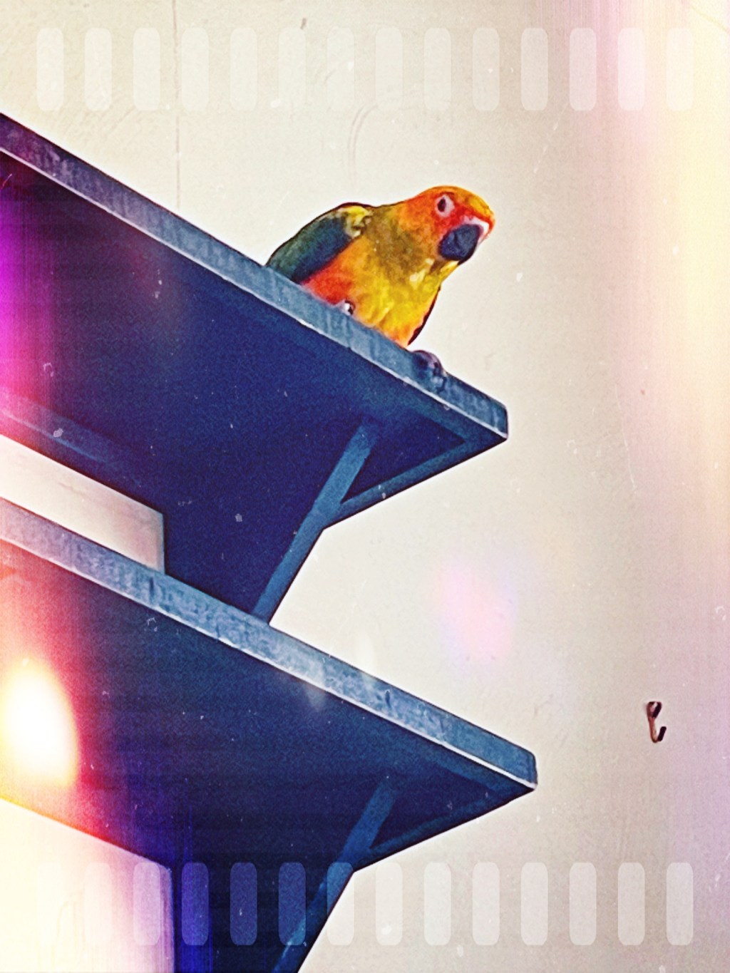 Aesthetic Photography Weekly: Entry&nbsp;#42