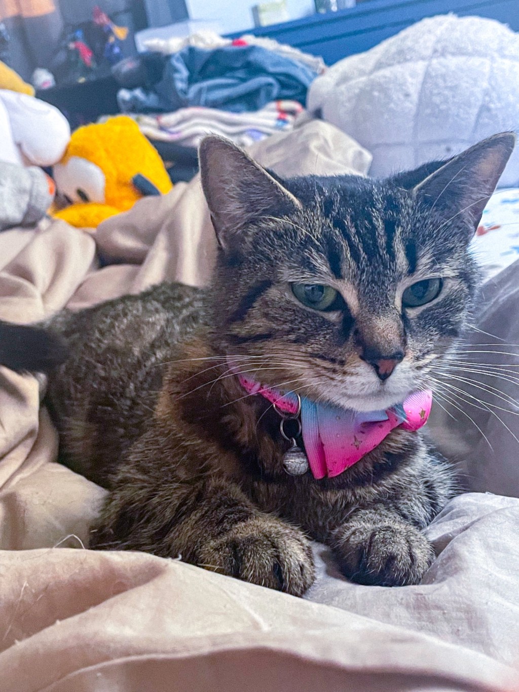 Aesthetic Photography Weekly: Entry&nbsp;#47