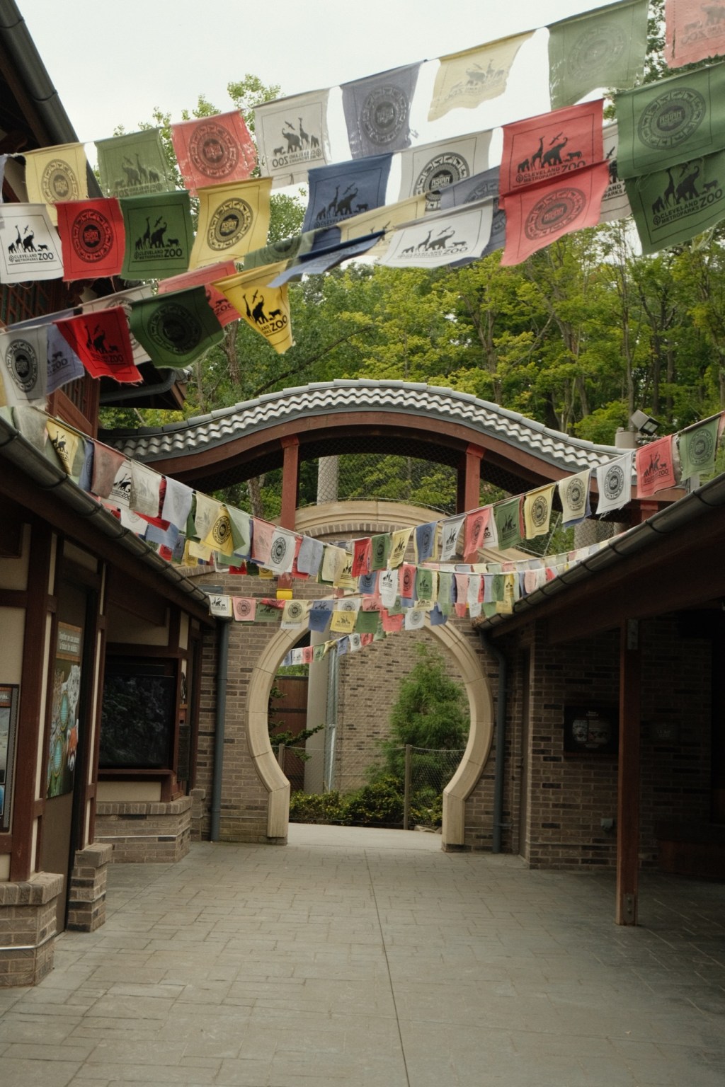 Aesthetic Photography Weekly: Entry&nbsp;#57