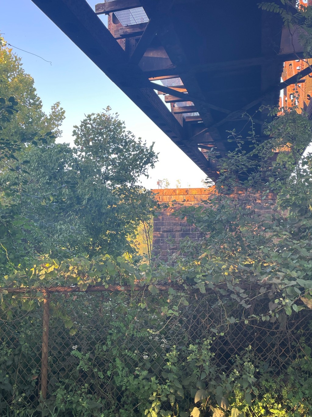 Aesthetic Photography Weekly: Entry #62