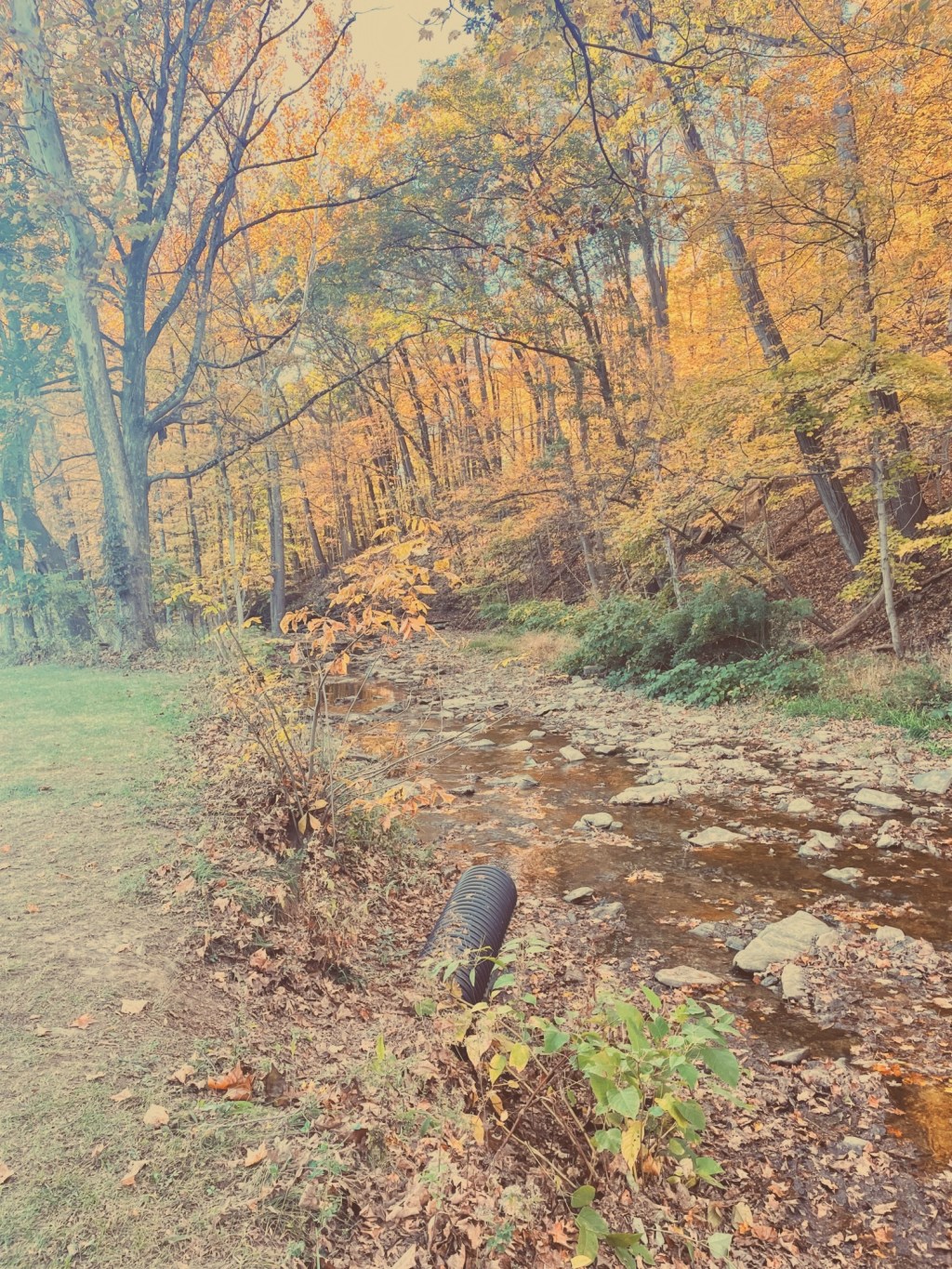 Aesthetic Photography Weekly: Entry&nbsp;#68