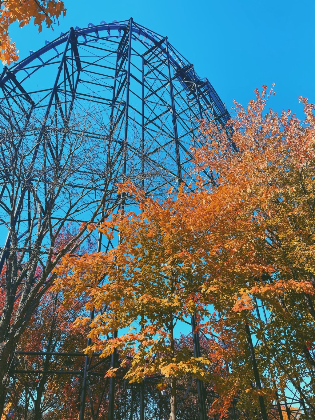 Aesthetic Photography Weekly: Entry&nbsp;#69