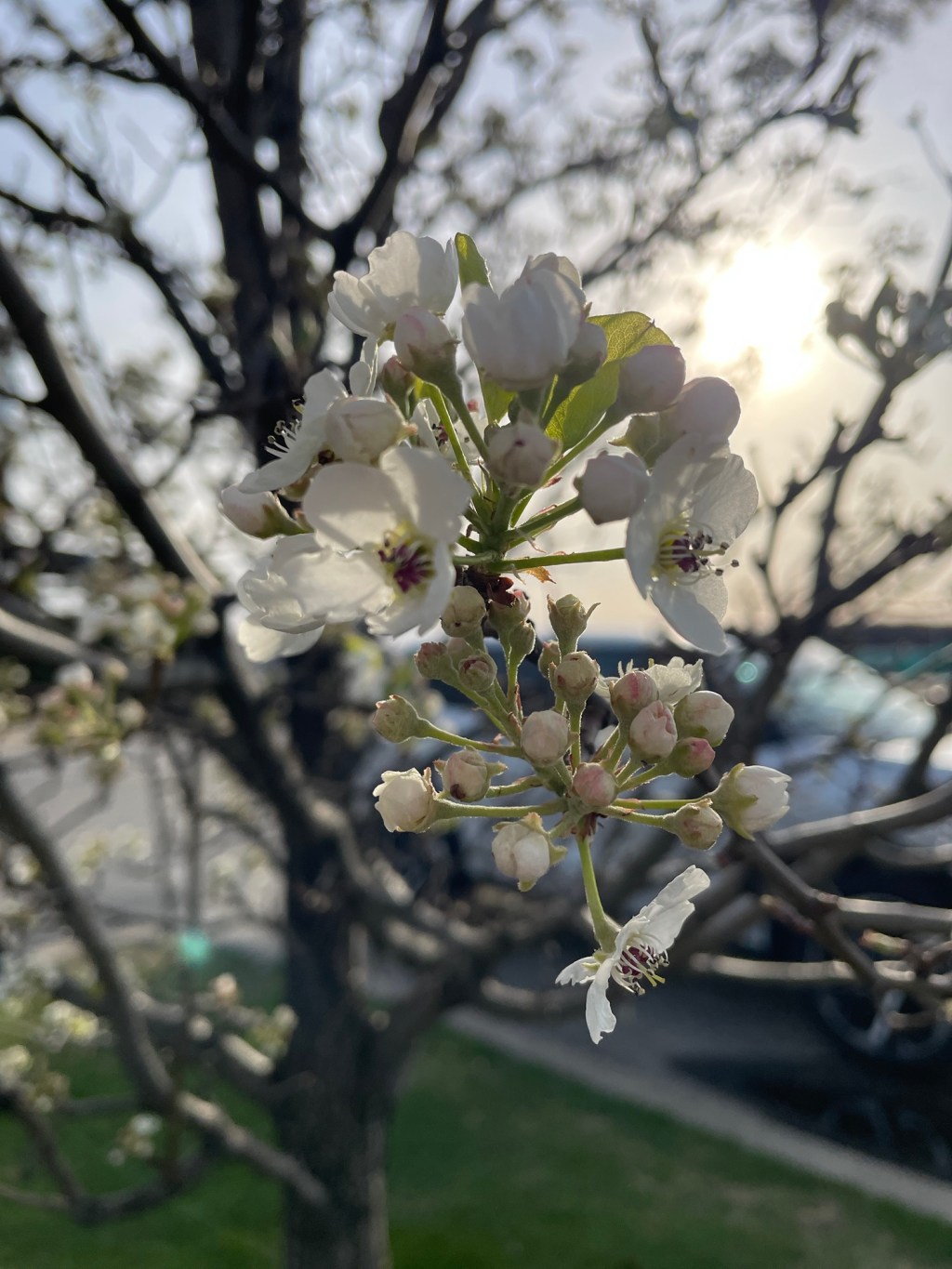 Aesthetic Photography Weekly: Entry&nbsp;#90