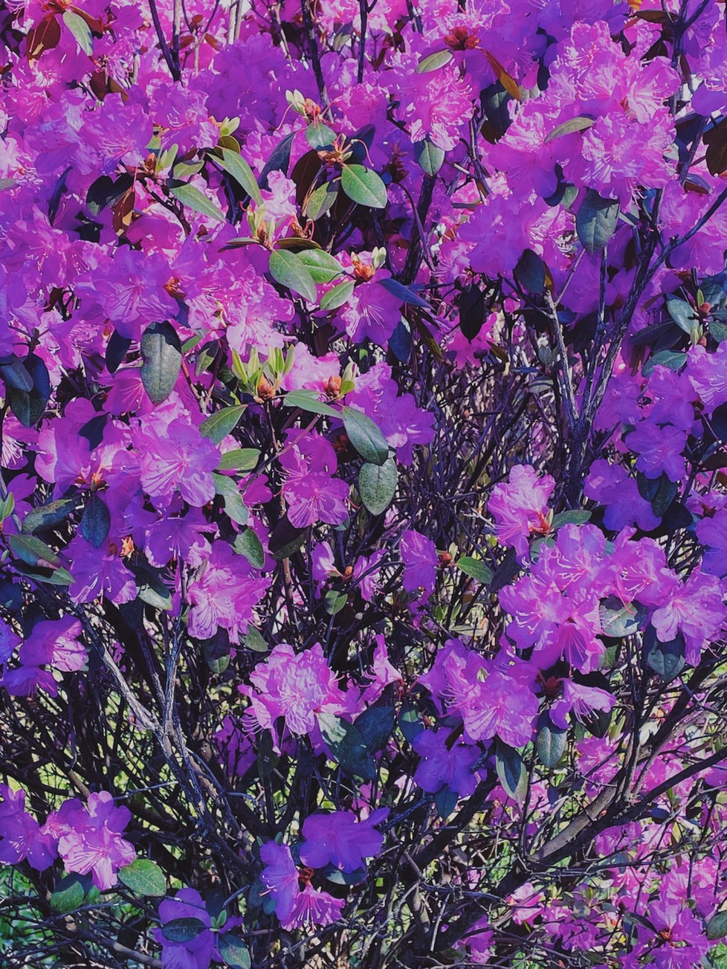 Aesthetic Photography Weekly: Entry&nbsp;#91