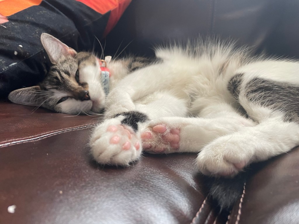 Aesthetic Photography Weekly: Entry&nbsp;#99