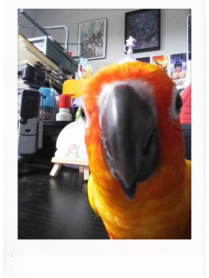 Aesthetic Photography Weekly: Entry&nbsp;#108