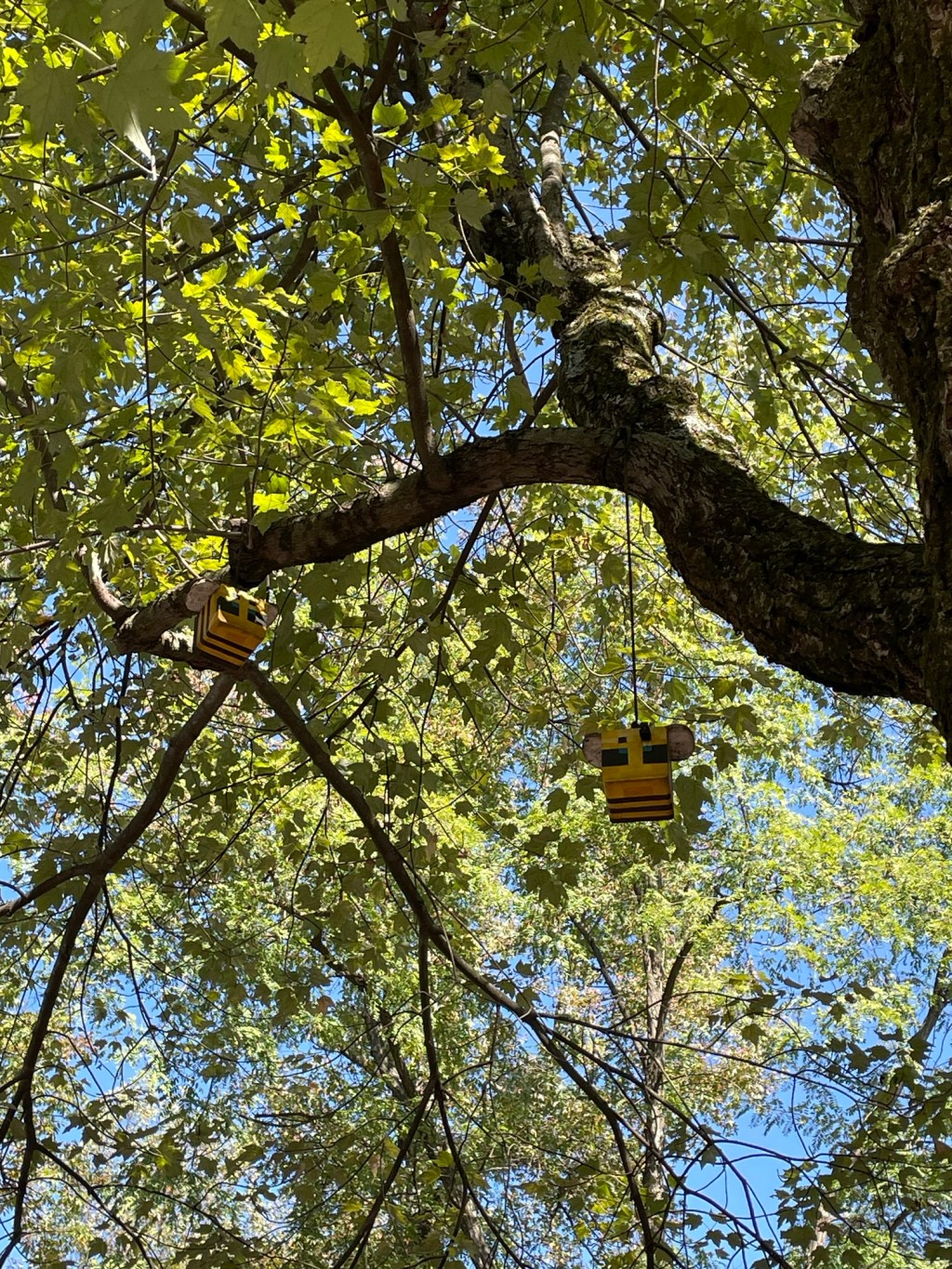 Aesthetic Photography Weekly: Entry&nbsp;#111