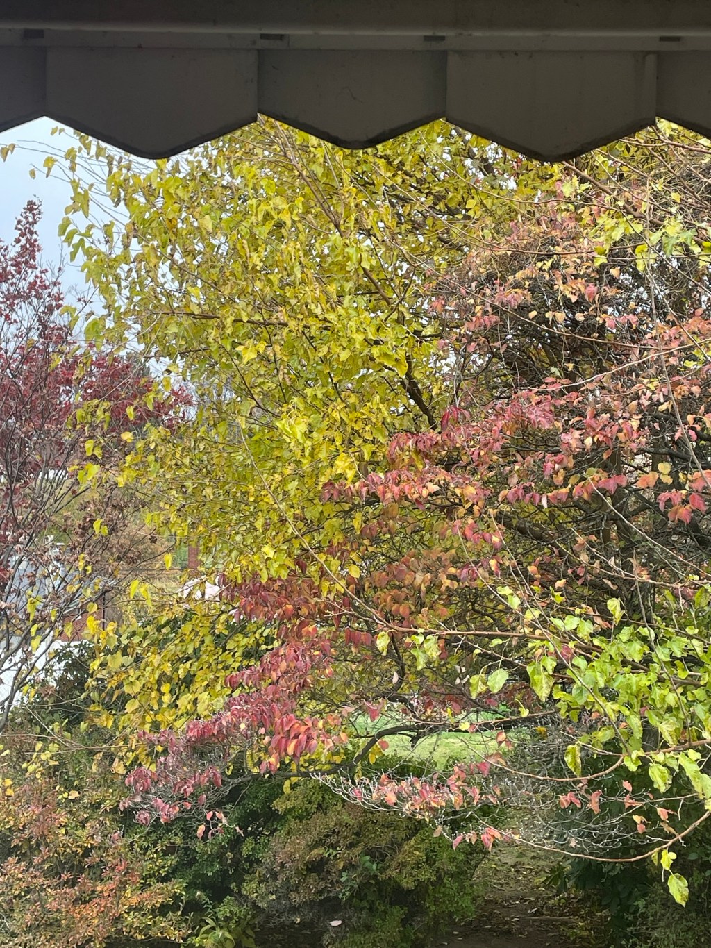 Aesthetic Photography Weekly: Entry&nbsp;#115