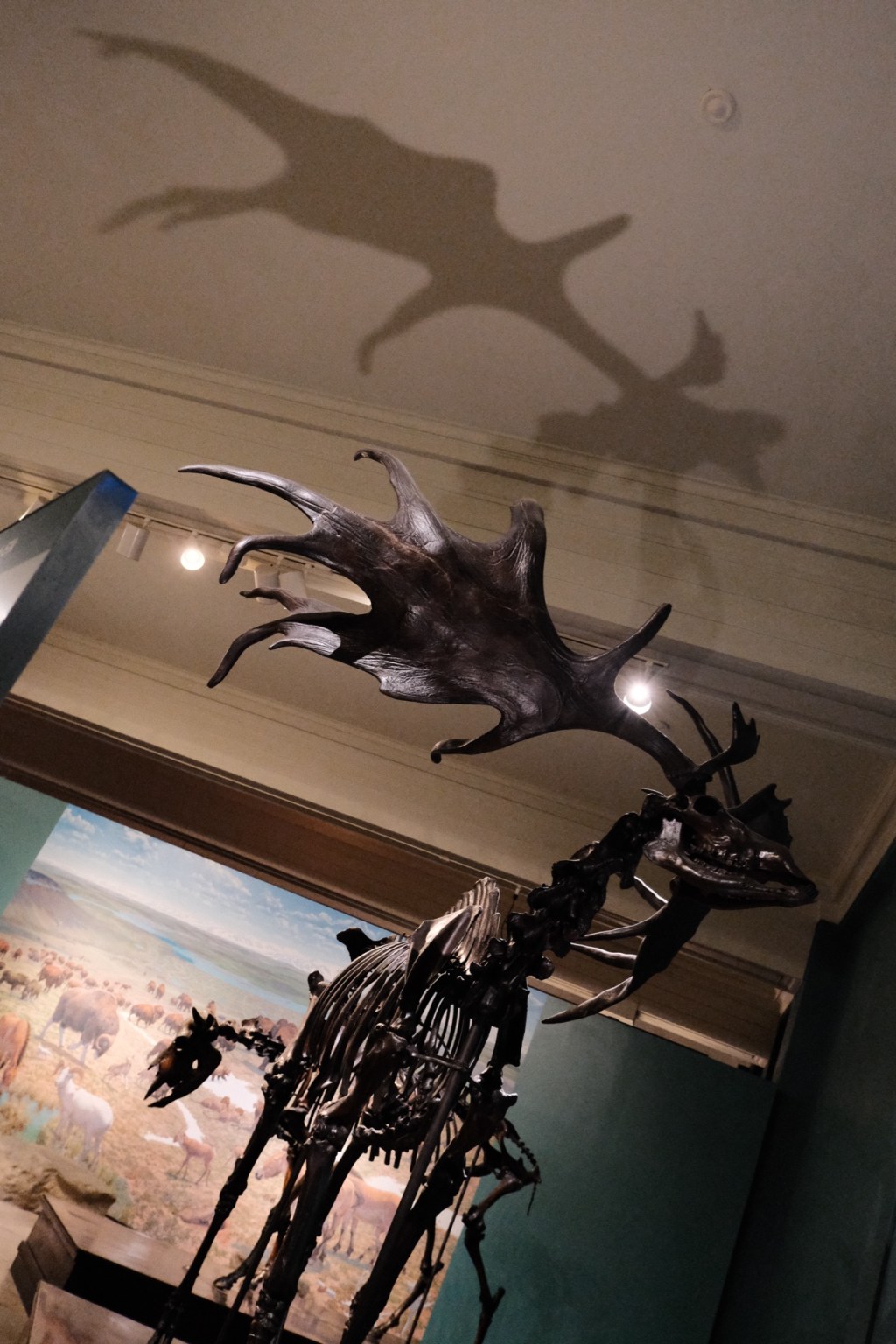 Aesthetic Photography Weekly: Entry&nbsp;#130