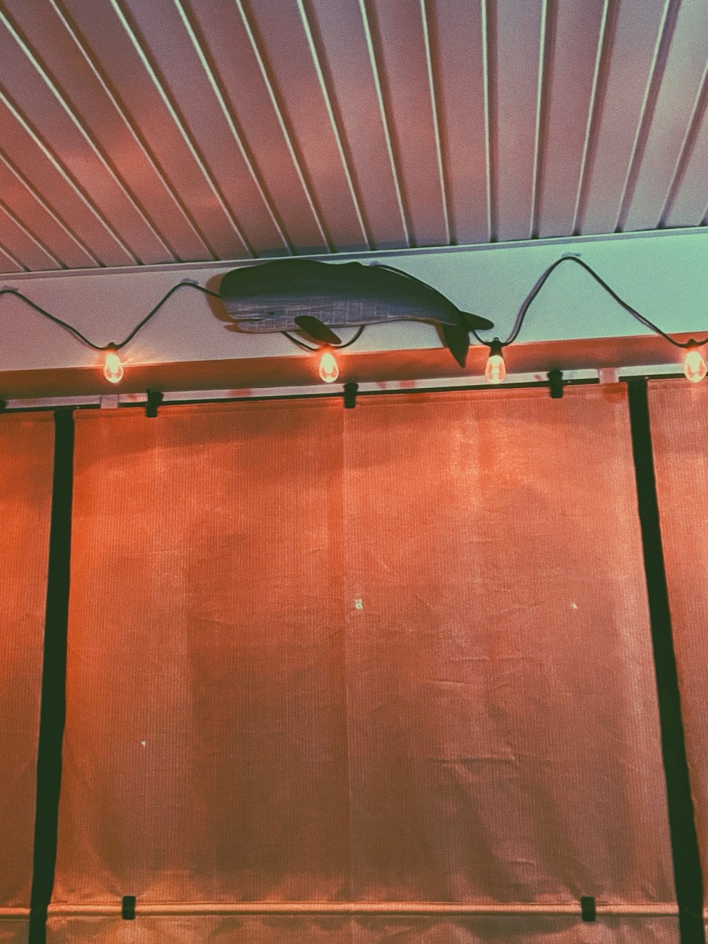 Aesthetic Photography Weekly: Entry&nbsp;#147